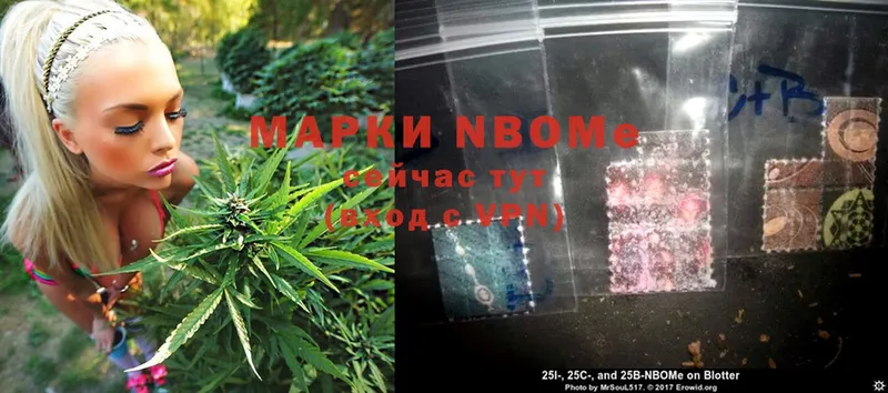 мега зеркало  Кяхта  Марки N-bome 1,8мг 